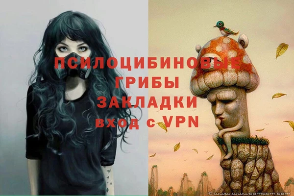 шишки Балабаново